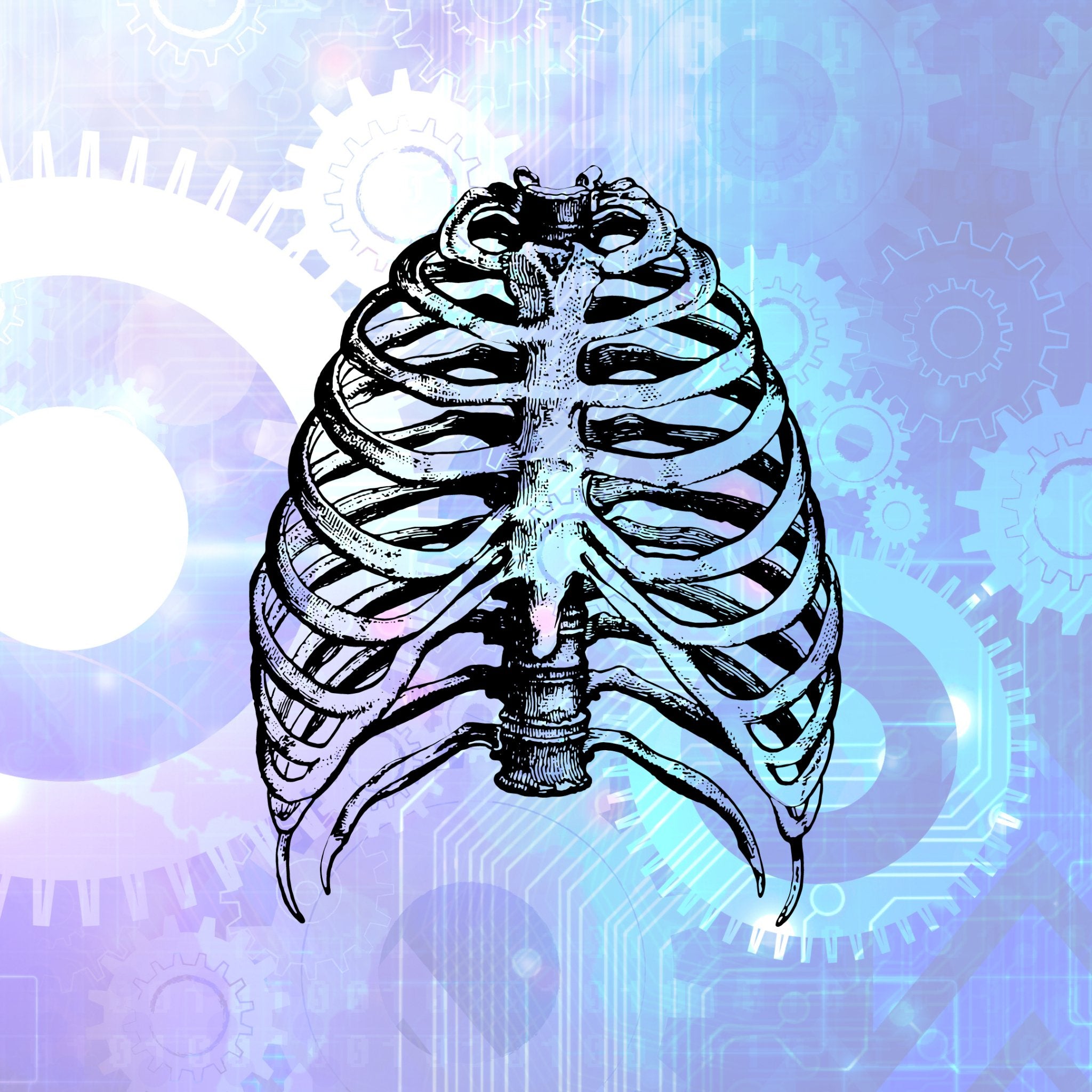 Biomecánica de la Respiración - Gaman Training