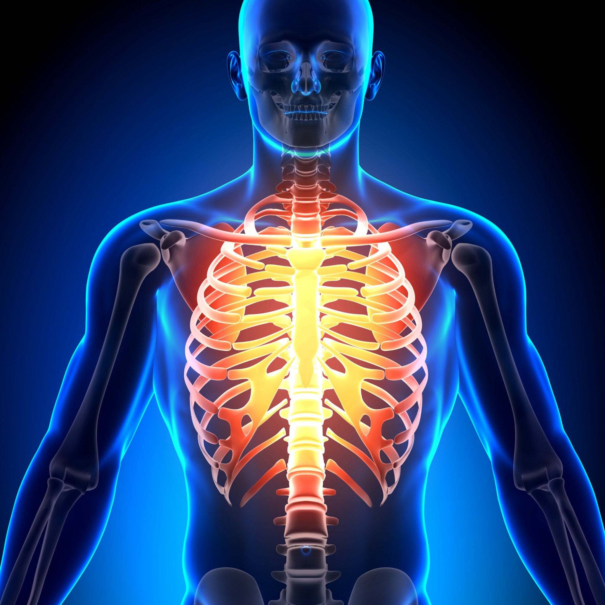 ¿Qué es el Ángulo Infraesternal [ISA]? - Gaman Training