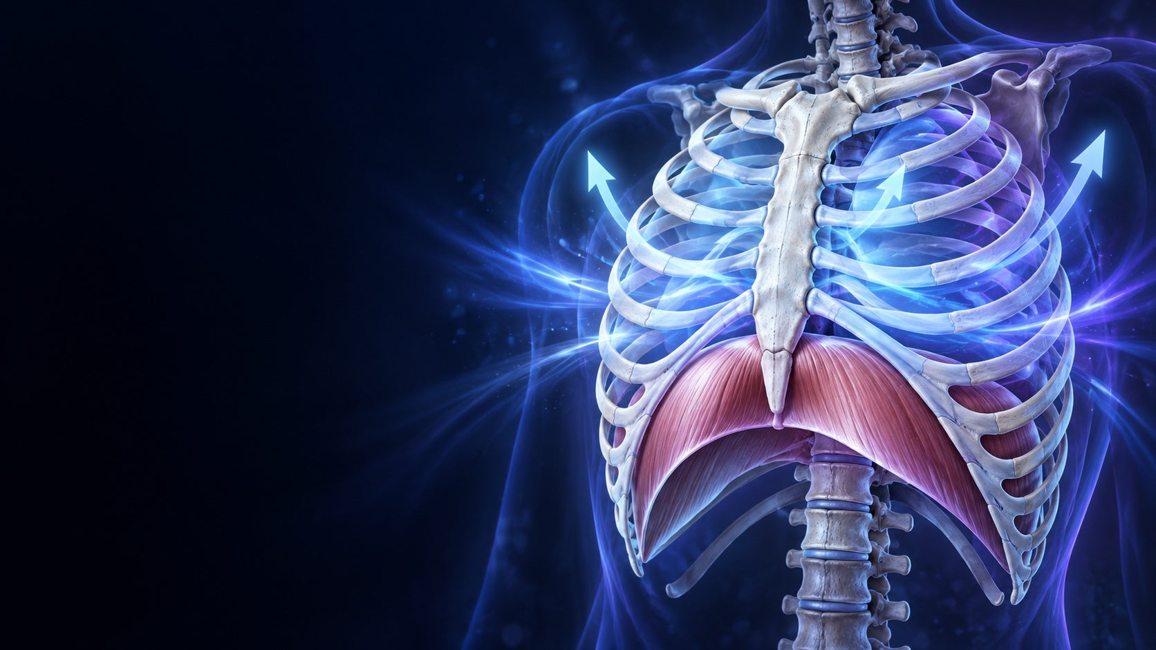 Biomecánica de la respiración: diafragma y caja torácica